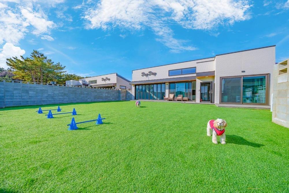 Taean Dog Day Pet Pool Villa 외부 사진